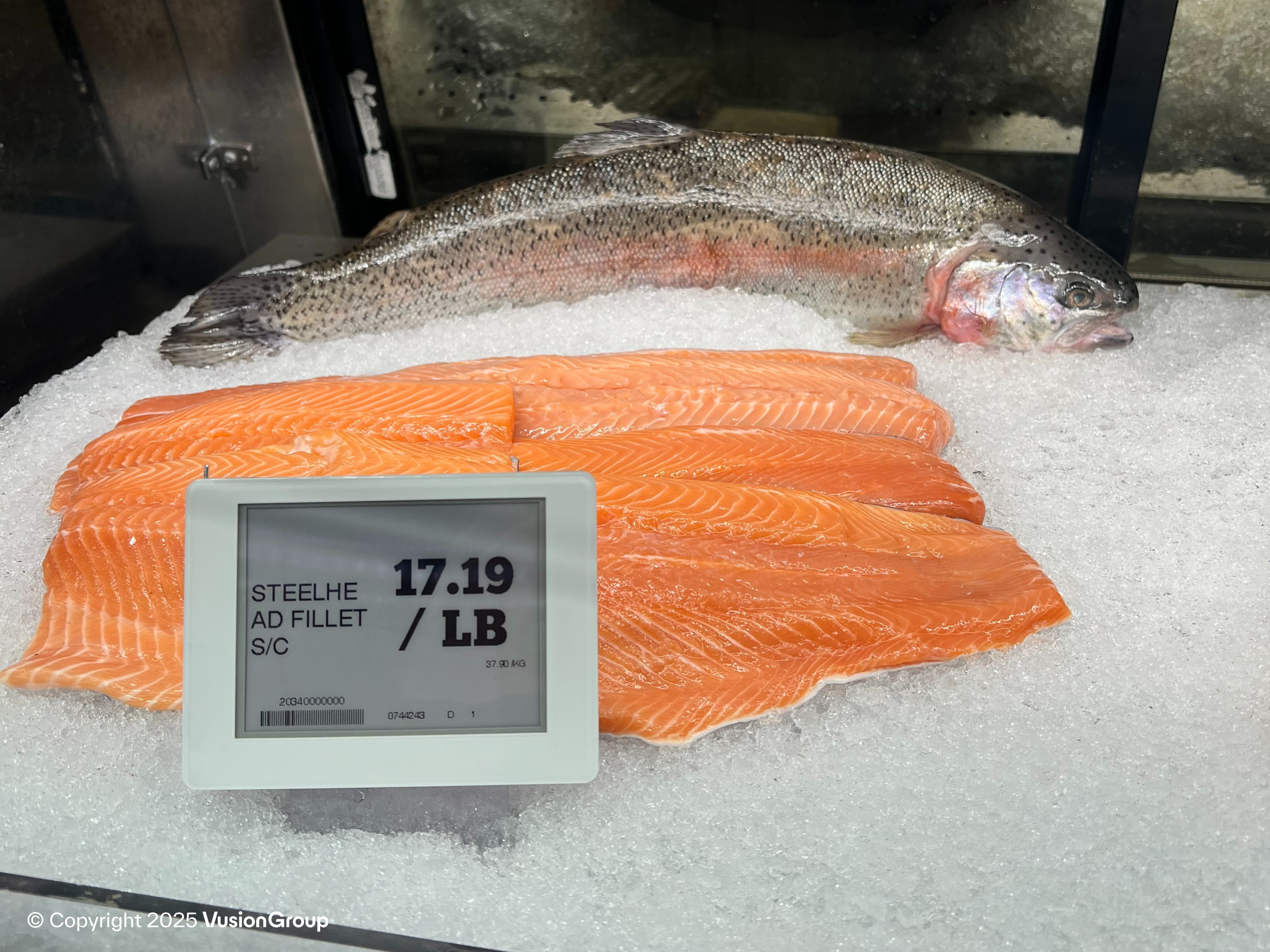 Seafood counter with salmon and steelhead on ice using waterproof electronic shelf labels for per-pound pricing by DUMAC.